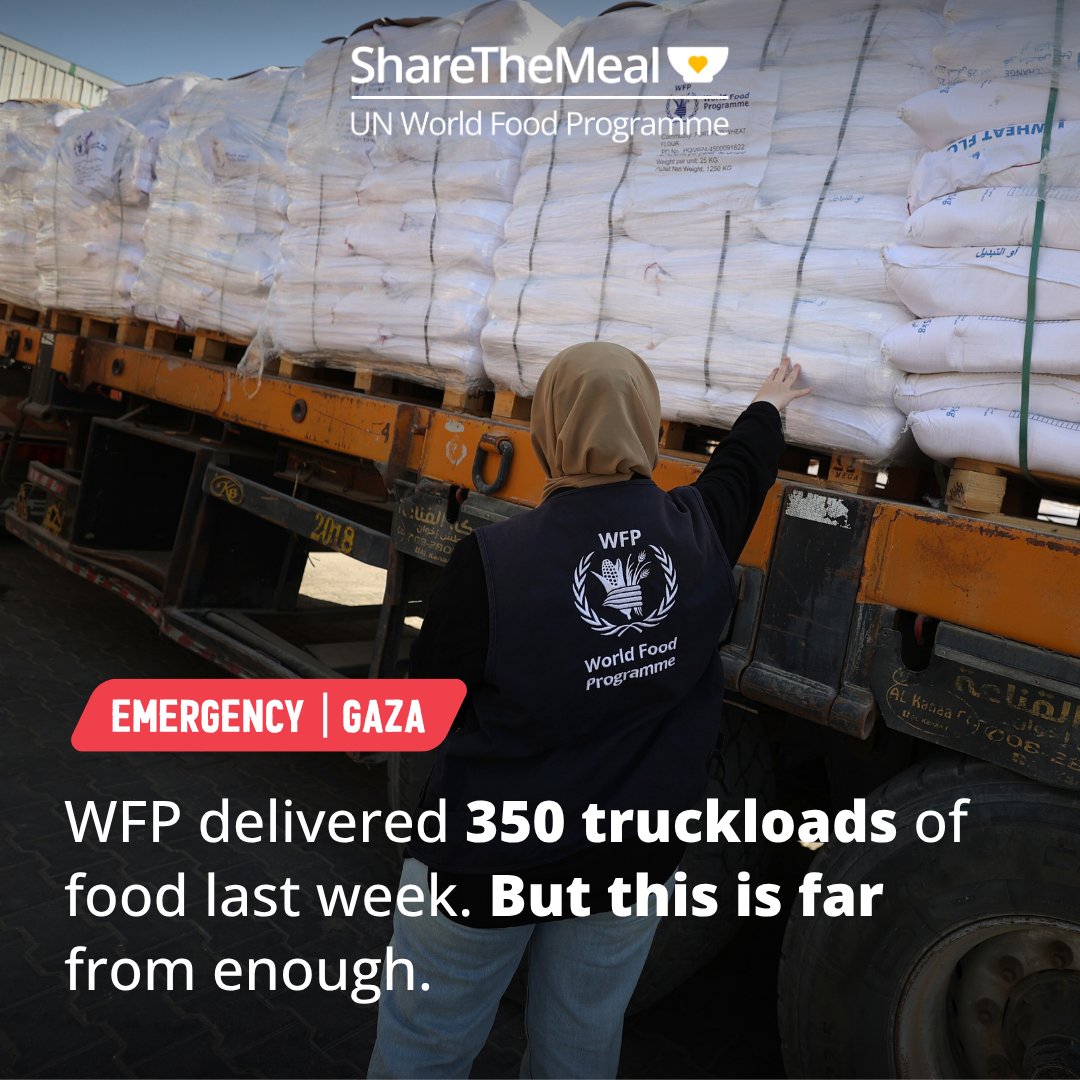 ShareTheMeal - UN World Food Programme (@sharethemealorg) on Twitter photo π¨ #Gaza update. Last week, <a href="/WFP/">World Food Programme</a> delivered 350 truckloads of food. But this is a tiny amount compared to the massive needs in the Gaza Strip.
π΄ 470,000 people are on the brink of famine
We're racing against time. A #ceasefire is essential.
Share a meal ππ in bio π¨ #Gaza update. Last week, <a href="/WFP/">World Food Programme</a> delivered 350 truckloads of food. But this is a tiny amount compared to the massive needs in the Gaza Strip.
π΄ 470,000 people are on the brink of famine
We're racing against time. A #ceasefire is essential.
Share a meal ππ in bio