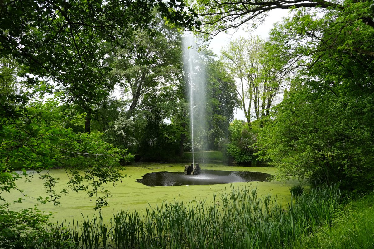 Forstler1's tweet image. Heute mal in Dresdens Lennépark (Bürgerwiese) gewesen und geschaut, was die Brunnen so machen. Sie laufen tatsächlich! Dass beim Mozartbrunnen (links oben) und der Badenden Nymphe (rechts oben) so wenig Wasser plätschert, ist normal, so wurden die Brunnen gebaut.

Schade, dass…