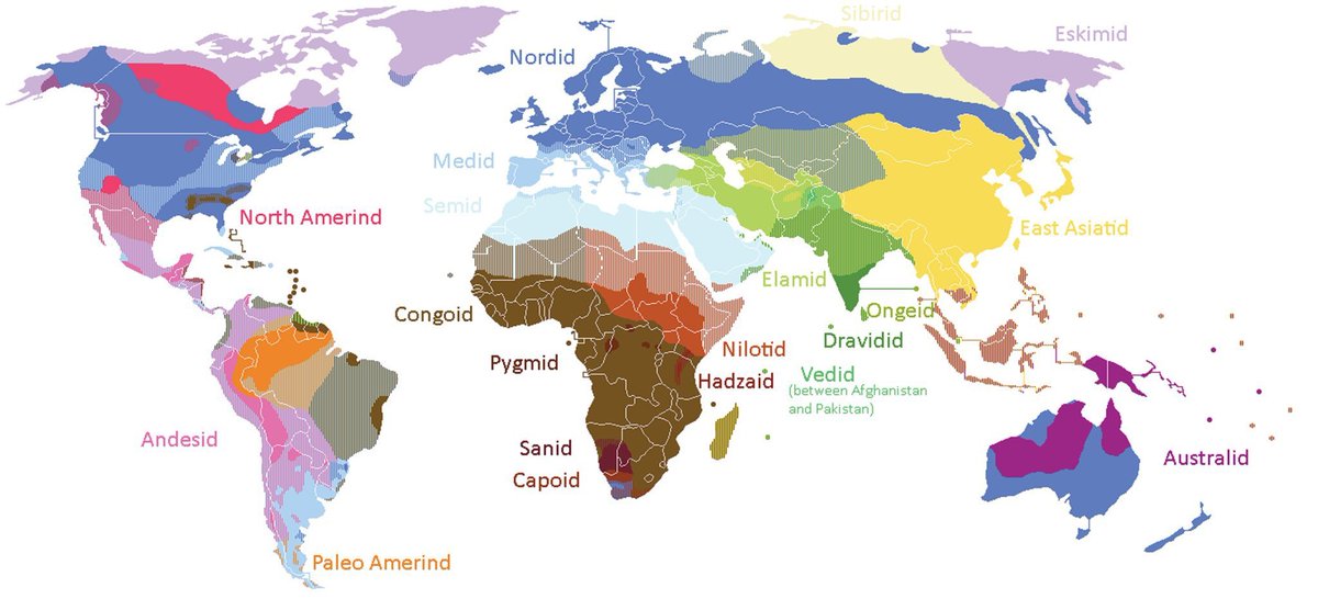 celtalian's tweet image. This is the best one I've seen so far
Notice how Southern Brazil is pretty much the only place with a significant amount of Nordids in Latin America (as I've always said)