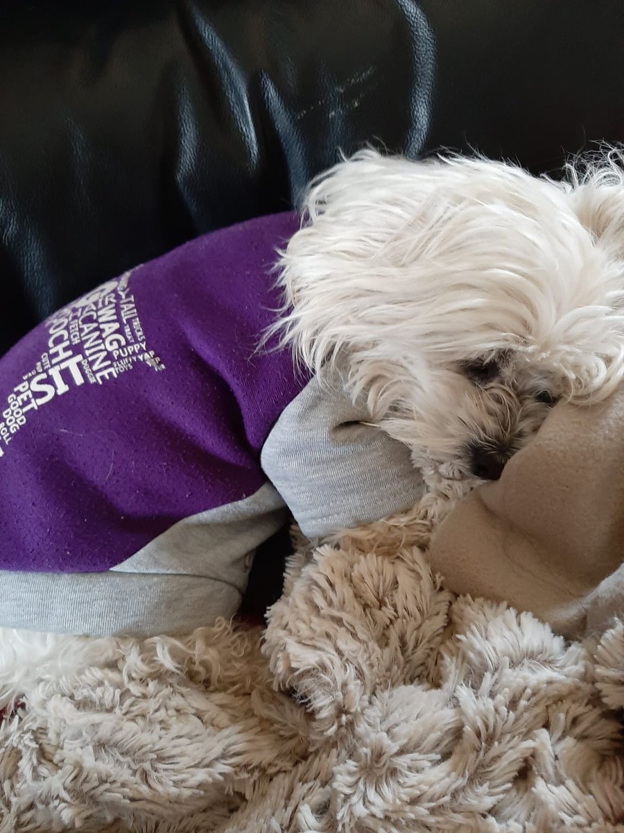 Ma se liefiekind 💕