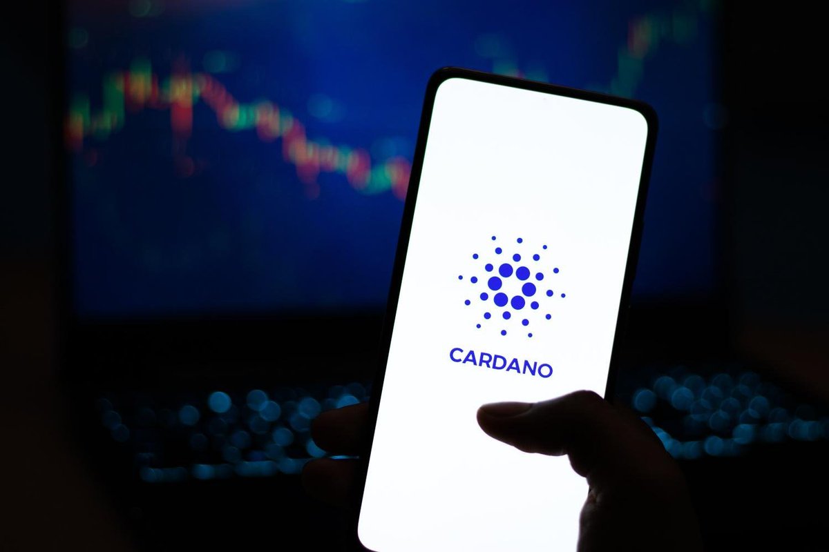 MetaGunner ✈ (@metalgunn3er) on Twitter photo Cardano is finally seeing the developer momentum it deserves.
Lots of teams have been shipping lately, but <a href="/ApexFusion/">Apex Fusion</a> takes the spotlight with over 40 core builders focused on one goal:
Making <a href="/ApexFusion/">Apex Fusion</a> and <a href="/Cardano/">Cardano Community</a> two core players in the modular era.
Apex is putting Cardano is finally seeing the developer momentum it deserves.
Lots of teams have been shipping lately, but <a href="/ApexFusion/">Apex Fusion</a> takes the spotlight with over 40 core builders focused on one goal:
Making <a href="/ApexFusion/">Apex Fusion</a> and <a href="/Cardano/">Cardano Community</a> two core players in the modular era.
Apex is putting