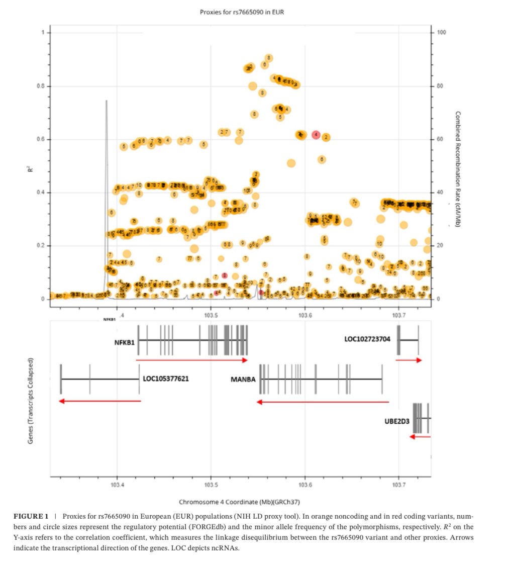 How can we predict treatment response in #MultipleSclerosis before starting therapy?
In our latest study in <a href="/EANeurology/">European Academy of Neurology</a> , we identified a genetic variant in NFKB linked to response to interferon-β.
🧬Just one small step toward making personalized medicine a reality. #MSresearch