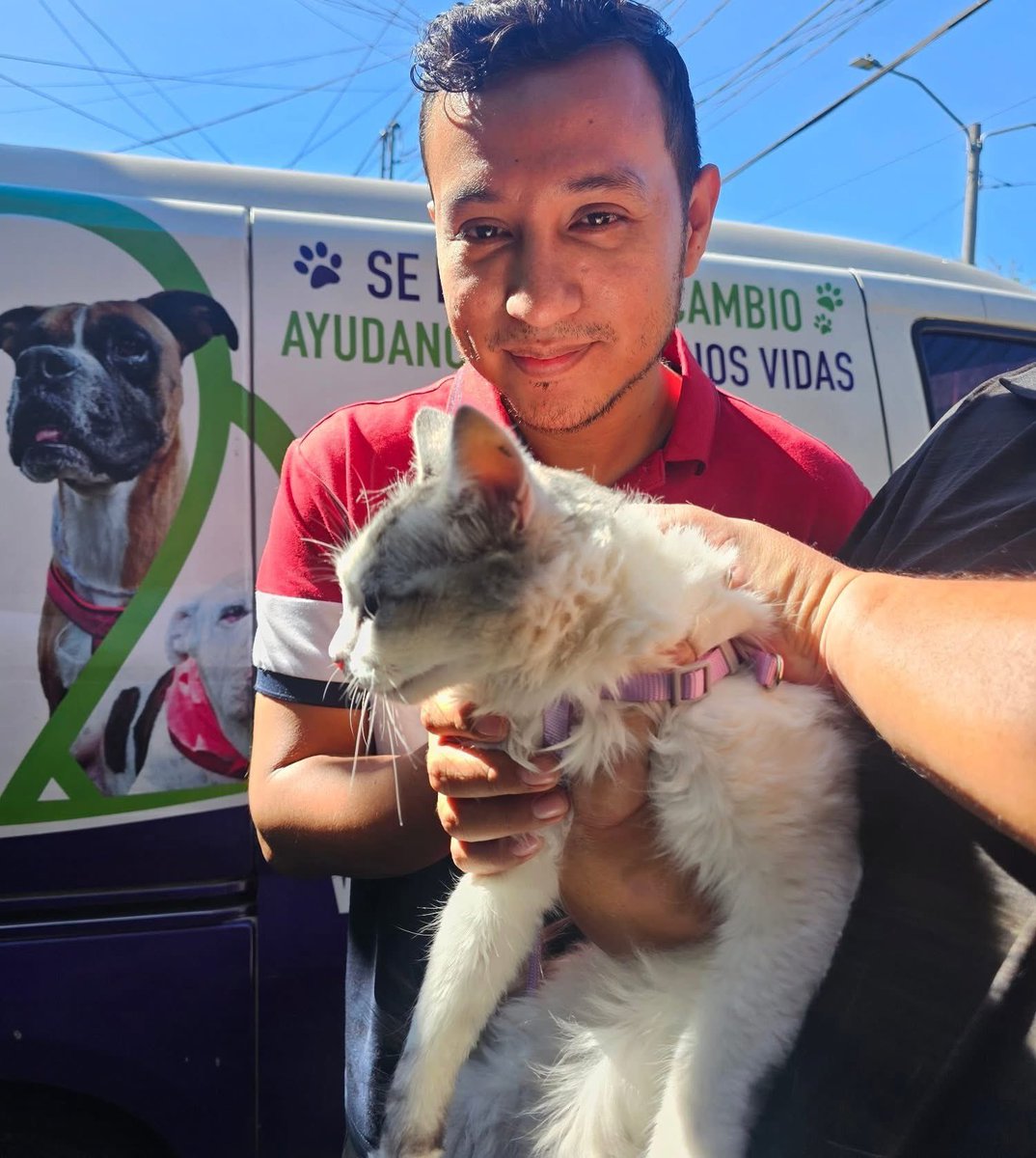 Animals Hope tweet media