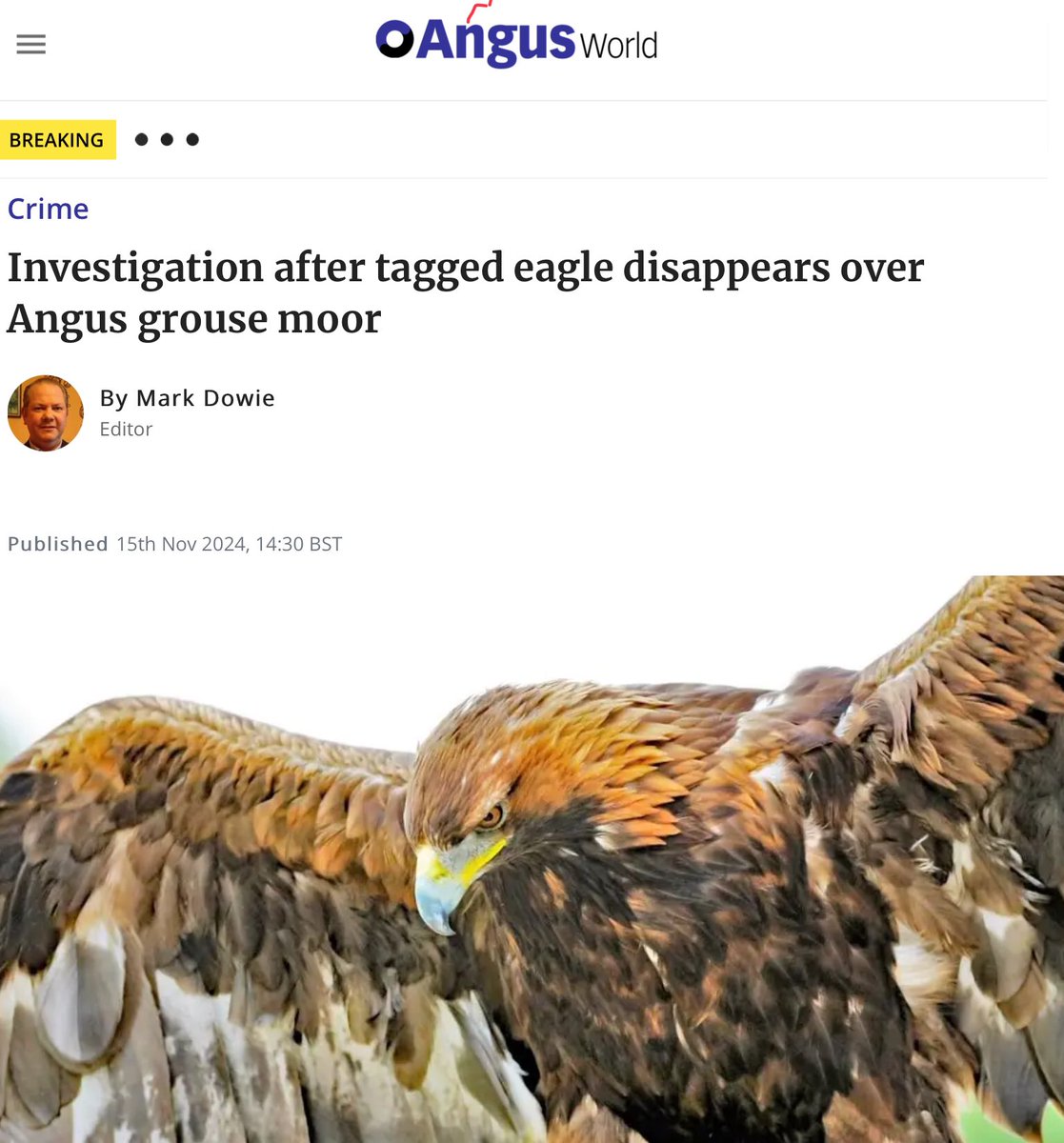 I beg to differ.

#raptorpersecution