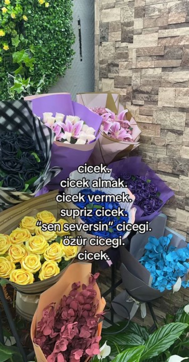 ÖZGE (@ozgeppn) on Twitter photo 