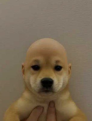 JacalCrypto's tweet image. Ok this bald niggas is funny af
Can do numbers
$wifout
I bought some: axiom.trade/t/BXhVjDNucDJP…