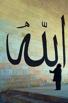 اے الله ! مجھے دین کی سمجھ عطا فرمانا…♥️…