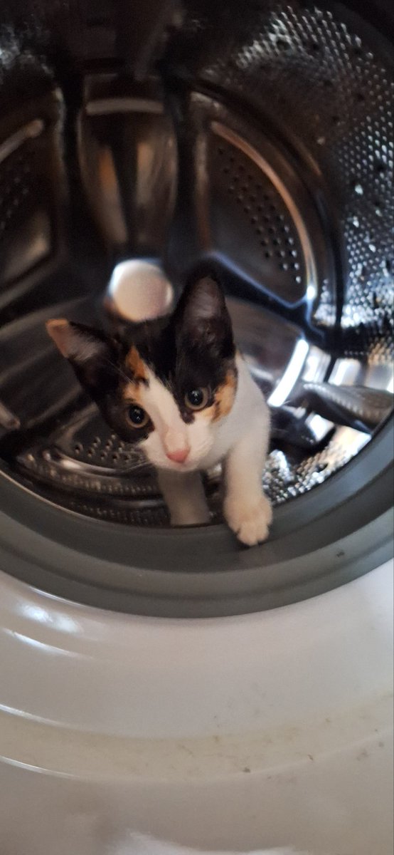 Tirita y sus excursiones!!