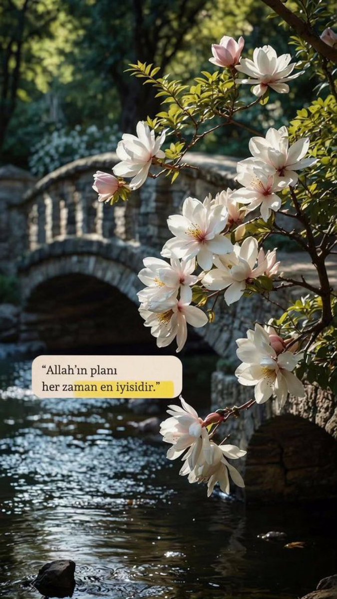 ayaserenat's tweet image. “Allah’ın planı her zaman en iyisidir.”