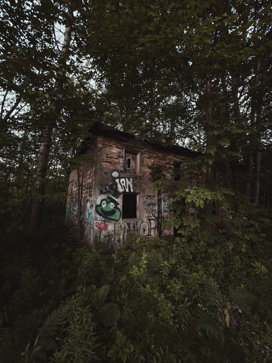 INDIA HOUSE VIDEO TODAY🙂‍↕️

Going to drop this one a little later than usual! Shooting for 5PM EST but if anything changes I’ll let you all know. 

This may be the craziest location of the year thus far. You’re going to love this video!