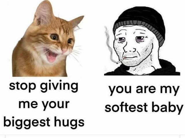 Punch Cat (@punchingcat) on Twitter photo 