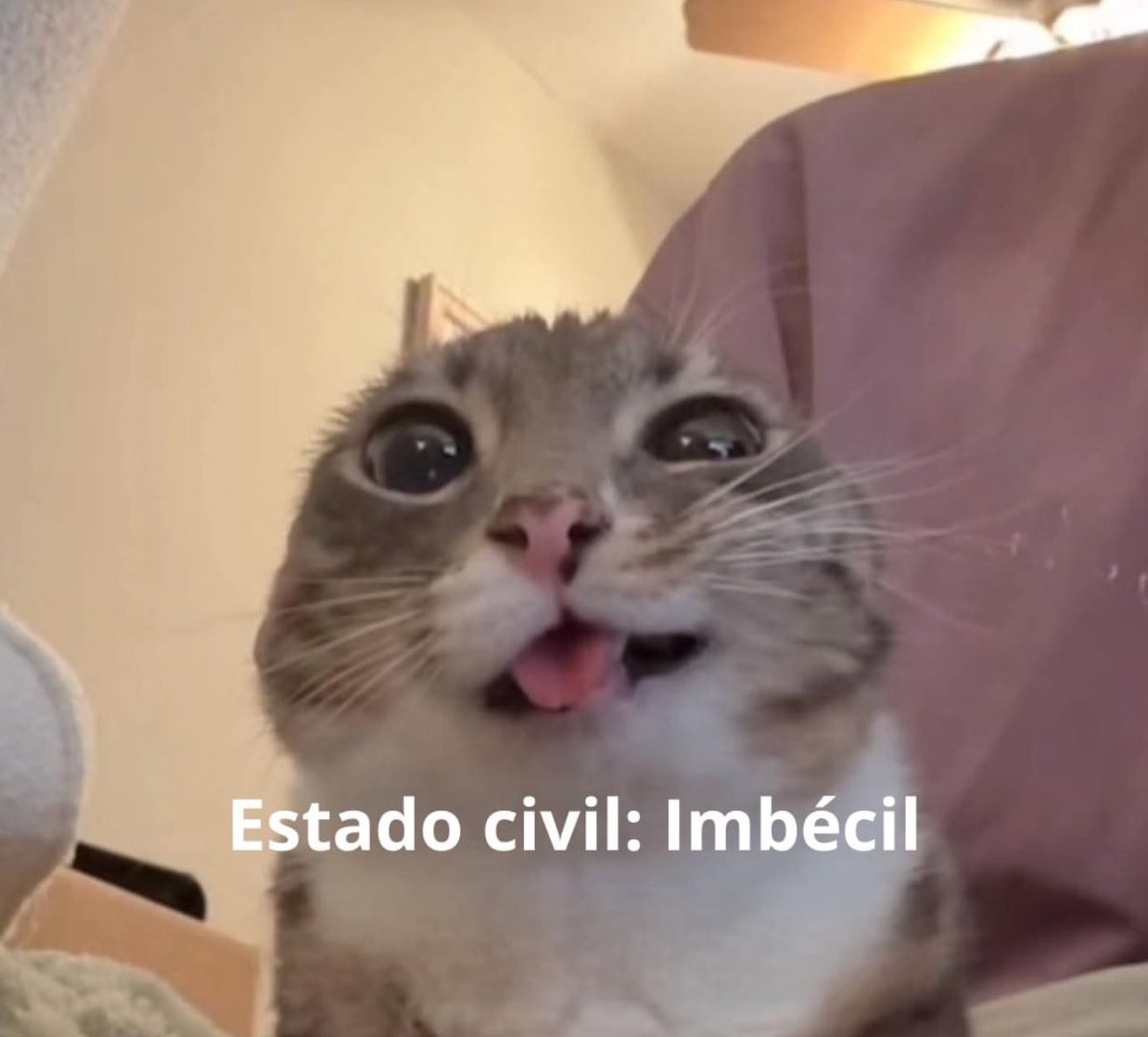piña sin pizza (@skereunpesado) on Twitter photo 