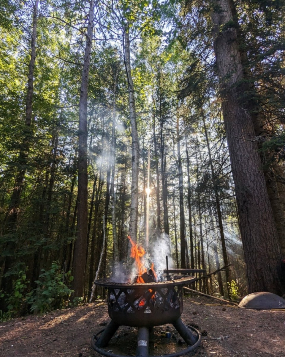 DiscoverWI's tweet image. 📍Discover your dream destination in WI
If your perfect summer includes peaceful lakes, scenic trails, and nonstop outdoor fun, Wisconsin’s Northwoods is calling. 

Let RE/MAX Property Pros help you turn those Northwoods dreams into reality!

Learn more: hubs.la/Q03z4fBD0