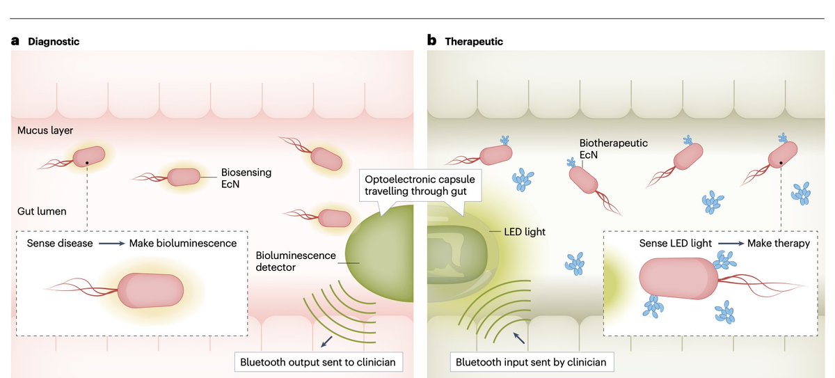 What if you could monitor and modulate your gut microbiome via your smartphone app?!
nature.com/articles/s4156…
nature.com/articles/s4156…