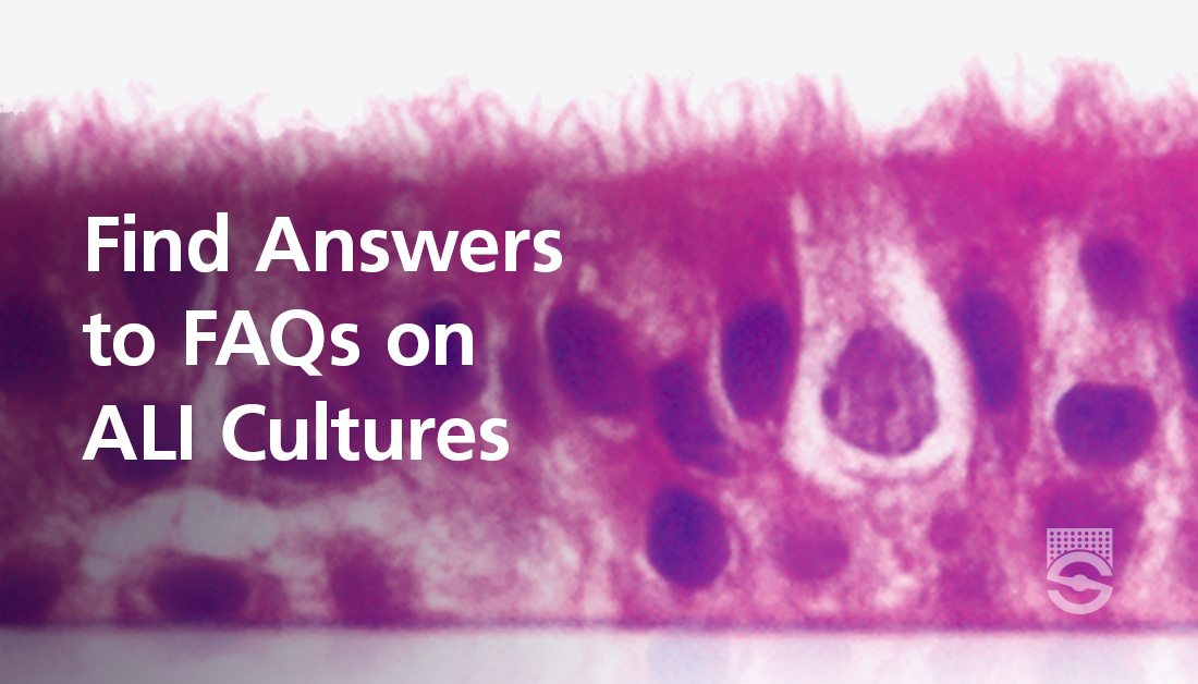 Pulmonary Cell News (@pulmonary_news) on Twitter photo New to air-liquid interface (ALI) cultures or PneumaCultβ’ media? Browse through these <a href="/STEMCELLTech/">STEMCELL Technologies</a> FAQs to find answers to commonly asked questions on culturing human airway epithelial cells at the ALI. π«
bit.ly/3R4TSGF New to air-liquid interface (ALI) cultures or PneumaCultβ’ media? Browse through these <a href="/STEMCELLTech/">STEMCELL Technologies</a> FAQs to find answers to commonly asked questions on culturing human airway epithelial cells at the ALI. π«
bit.ly/3R4TSGF