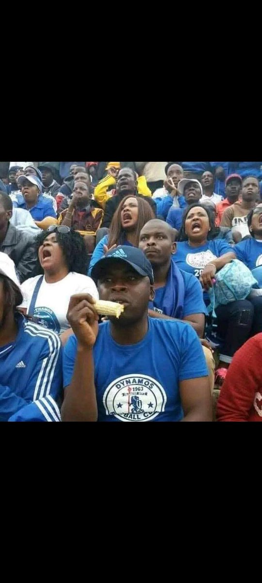 VMusinachirevo's tweet image. I have one question for the Dynamos fans, what are the wrong things or decisions that Bernard Mariot is making that are affecting results on the pitch?