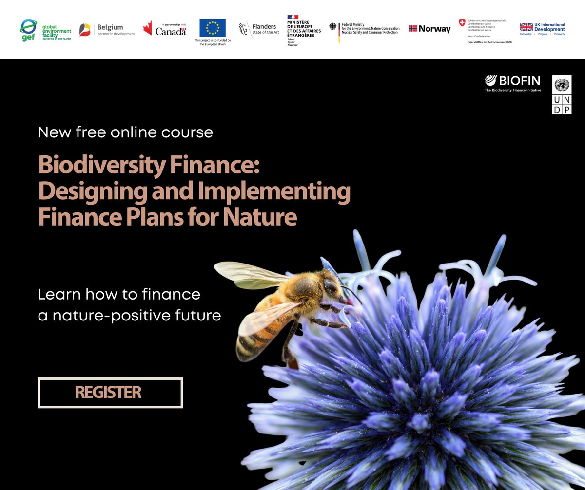 UNDP's tweet photo. How can we close the biodiversity finance gap &amp; turn global goals into national action?

Register for our free online course on how to assess biodiversity expenditures, identify finance needs &amp; design plans aligned w/ national priorities &amp; 🌎 targets.

🔗 https://t.co/JYWx8jrChZ https://t.co/GD7Vtr341M