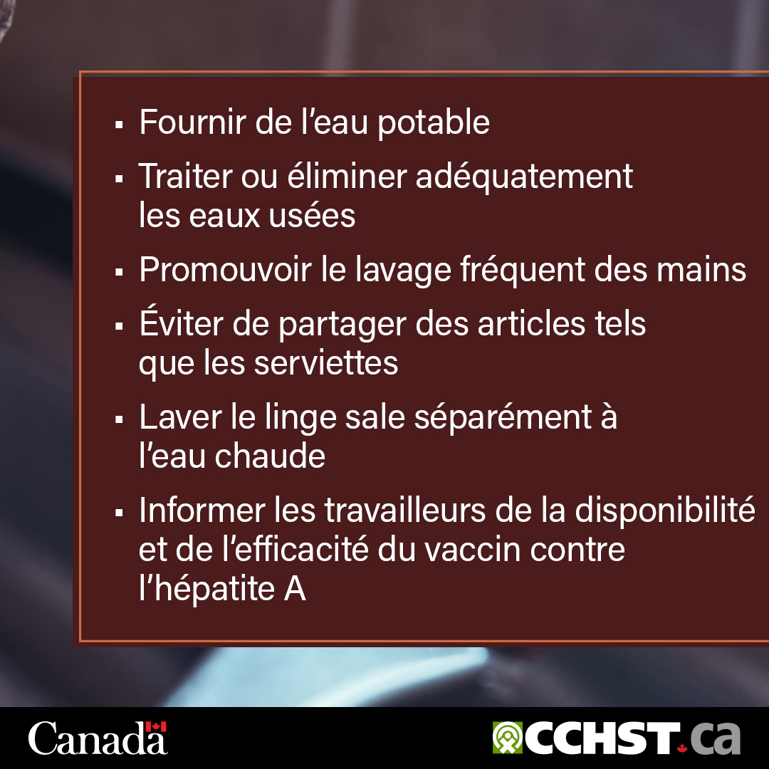 Rarement mortelle, l’hépatite A peut avoir de graves conséquences sur la santé des travailleurs à risque. La prévention de l’infection passe par de bonnes mesures d’hygiène et de salubrité. ow.ly/9kFa50Ww3m7