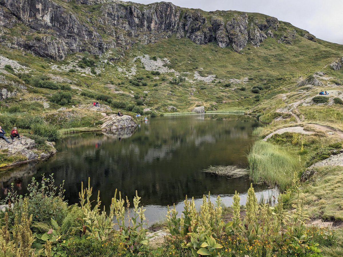 blou's tweet image. Lagos de altura... 🏵️💚