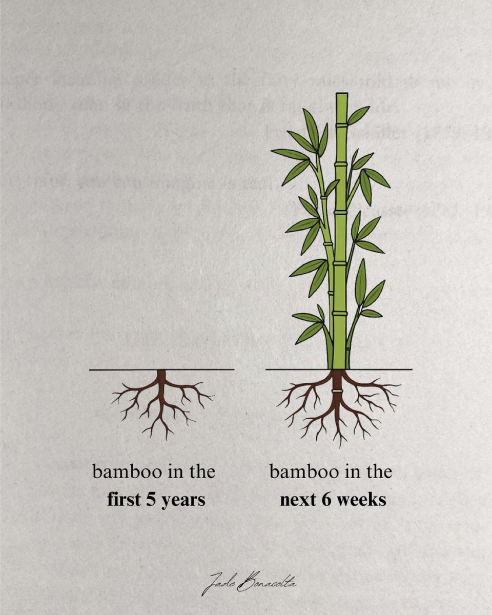 Mrbankstips's tweet photo. Sometimes growth is invisible but that doesn’t mean it’s not happening.
Be like bamboo, take your time building deep roots, then rise faster than anyone imagined. 🔥🌱🎋 https://t.co/anCCNn3qtF