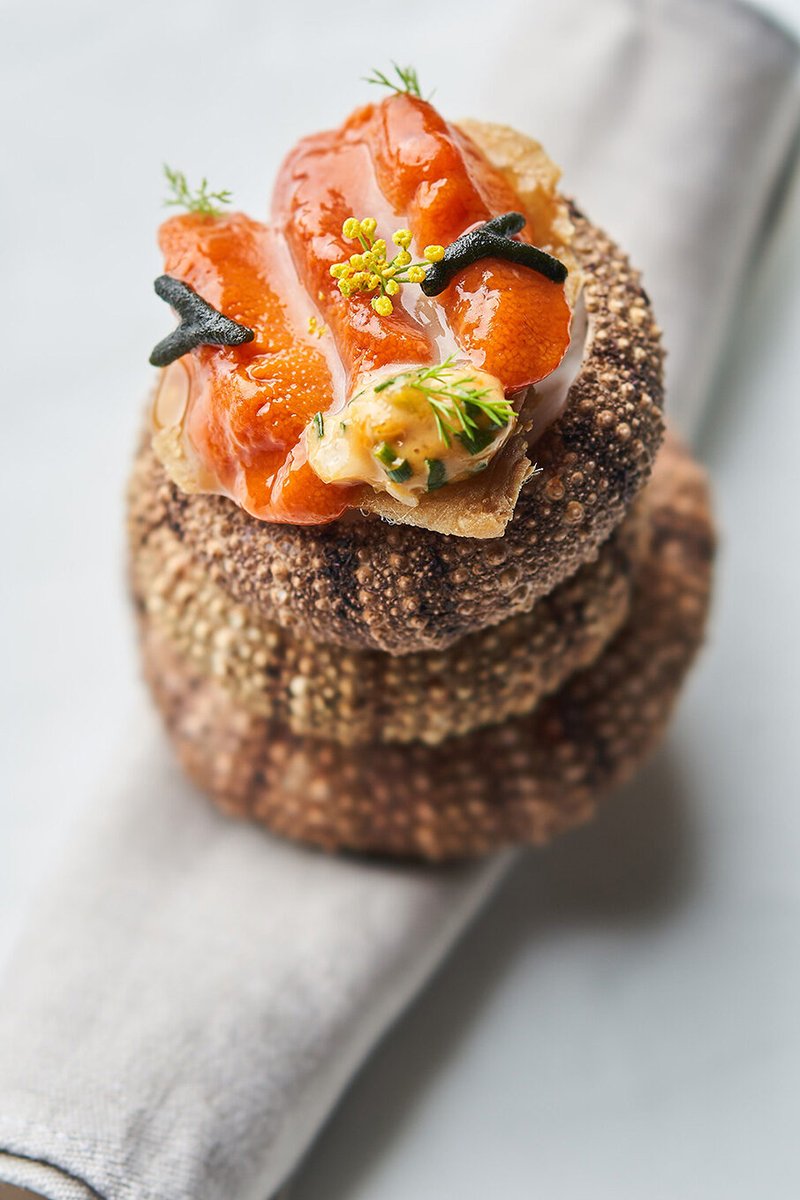 PhotoClub tweet media