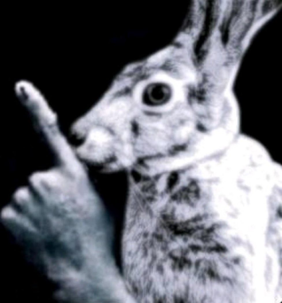 BUTCHR4NDY's tweet image. biblically accurate stebbins