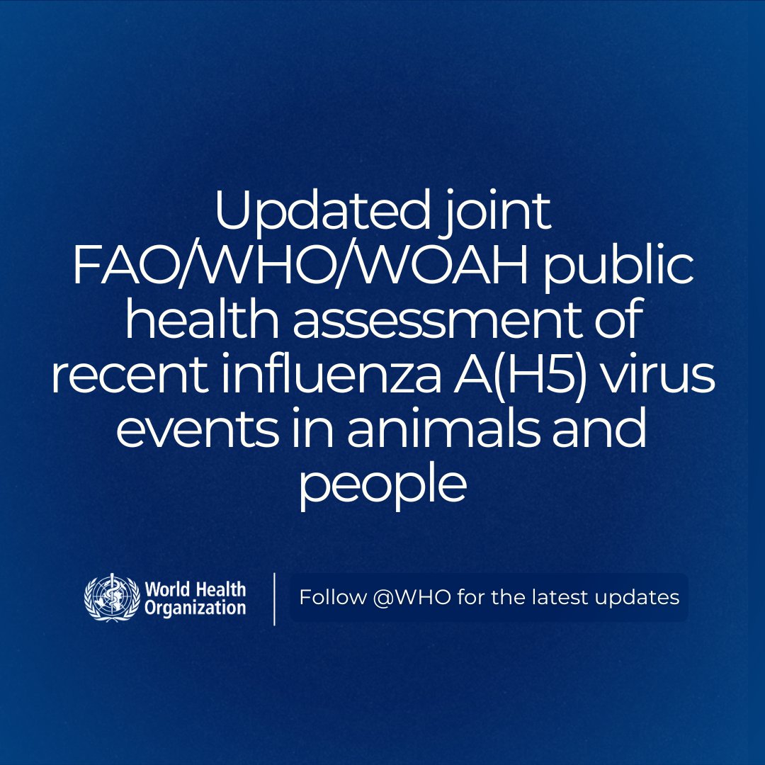 World Health Organization (WHO) (@who) on Twitter photo OUT NOW: WHO, <a href="/FAO/">Food and Agriculture Organization</a> & <a href="/WOAH/">World Organisation for Animal Health</a> have updated their assessment of the risk posed by recent #avianflu A(H5) events in animals and people.
The overall risk continues to be low overall and low to moderate for people with professional exposure but also for those who have frequent contact OUT NOW: WHO, <a href="/FAO/">Food and Agriculture Organization</a> & <a href="/WOAH/">World Organisation for Animal Health</a> have updated their assessment of the risk posed by recent #avianflu A(H5) events in animals and people.
The overall risk continues to be low overall and low to moderate for people with professional exposure but also for those who have frequent contact