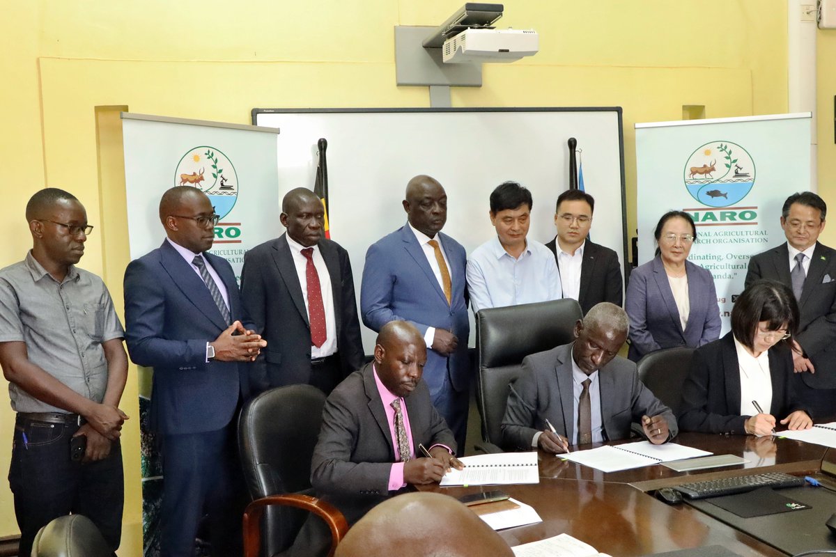 narouganda's tweet image. “China and Uganda share many agricultural similarities. Together, we can achieve a lot on this tea project and explore other strategic crops in future,” noted Dr. Yang during the MoU signing with the Jiangsu Academy of Agricultural Sciences (JAAS) to boost premium tea…