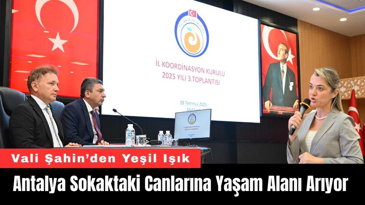 Antalya Sokaktaki Canlarına Yaşam Alanı Arıyor akdenizgercek.com.tr/antalya-sokakt…