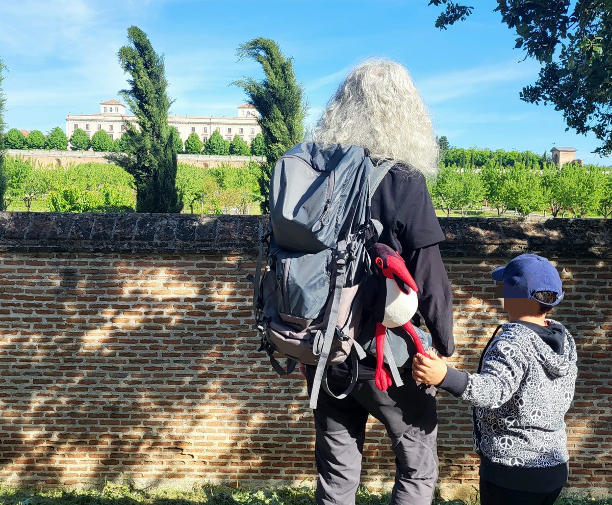 Si hay una foto que resuma nuestro curso 24/25 es esta
Un peque le da la mano a Cigu, nuestra mascota, mientras  contemplamos aviones comunes y cigüeñas frente al palacio del Infante don Luís de Boadilla.
Ternura, atención, sorpresa, cariño... 
Foto de nuestra amiga Paqui Rivera