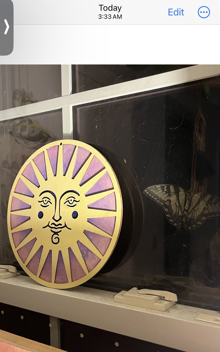 y2chaotic's tweet image. My special visitor 🙏💛🦋🌞⚡️🕰️