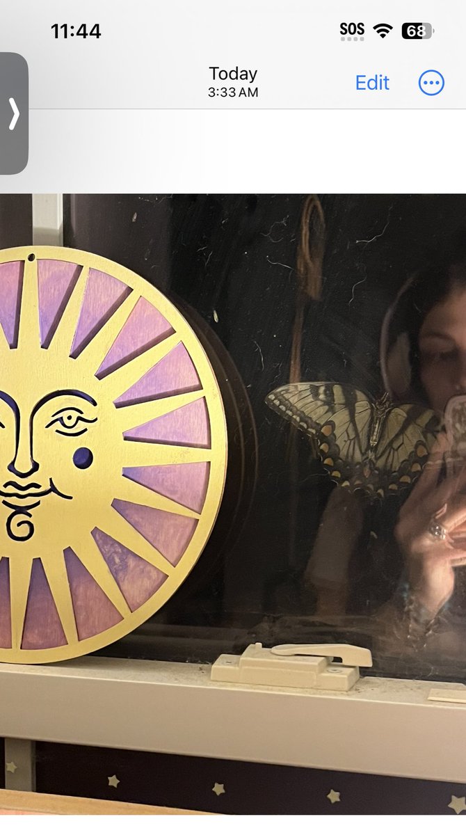 y2chaotic's tweet image. My special visitor 🙏💛🦋🌞⚡️🕰️