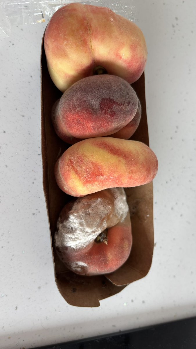 Talicath's tweet photo. @asda @AsdaServiceTeam  bought these peaches at Asda Llanelli Friday evening- opened them yesterday (Sunday 27/7) for work - very disappointed https://t.co/zwrnTVbDtG