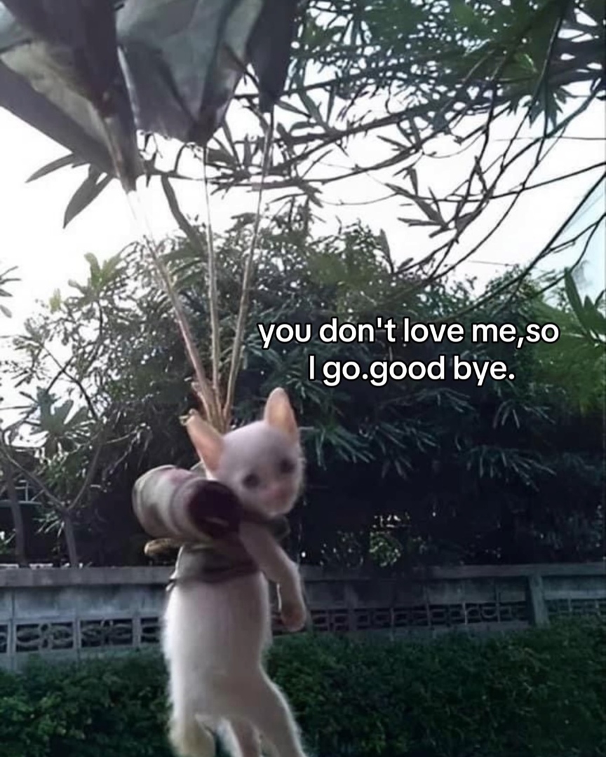 yappingfess's tweet image. yap! ternyata cuma jadi temen gabut setelah chat terus selama 3 taun wkwk ketawa aja gpp
