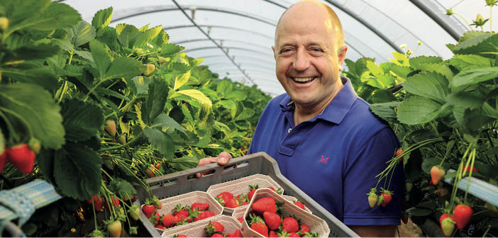 ACTHortNews's tweet image. Heatwave affecting crops and increasing fruit sales
Read more via #HortNews >> hortnews.com/articles/horti…
@tesconews @NFUtweets