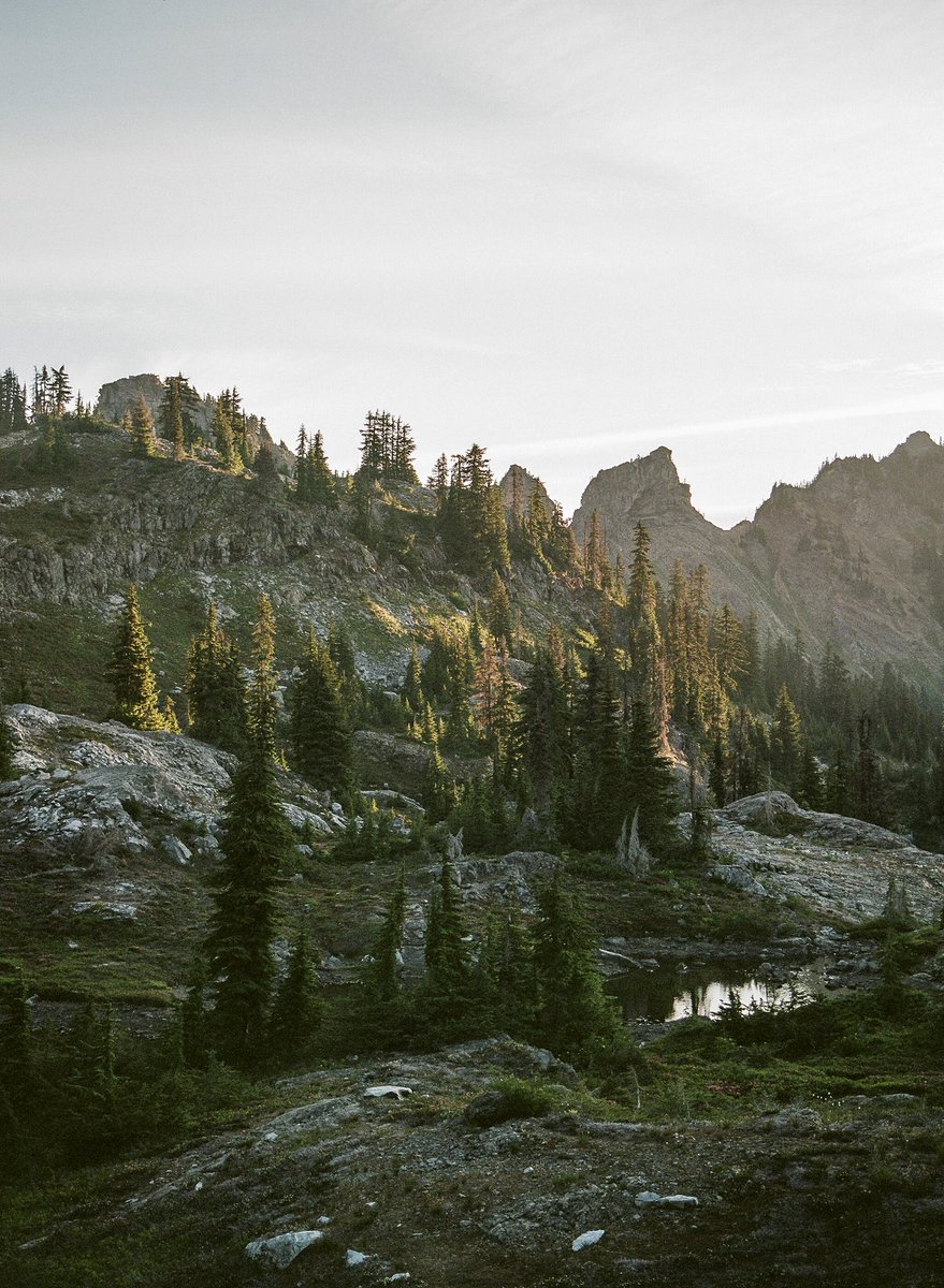 kivraan's tweet photo. Start of the day on medium format 🎞️ https://t.co/B7HKVRwFxb