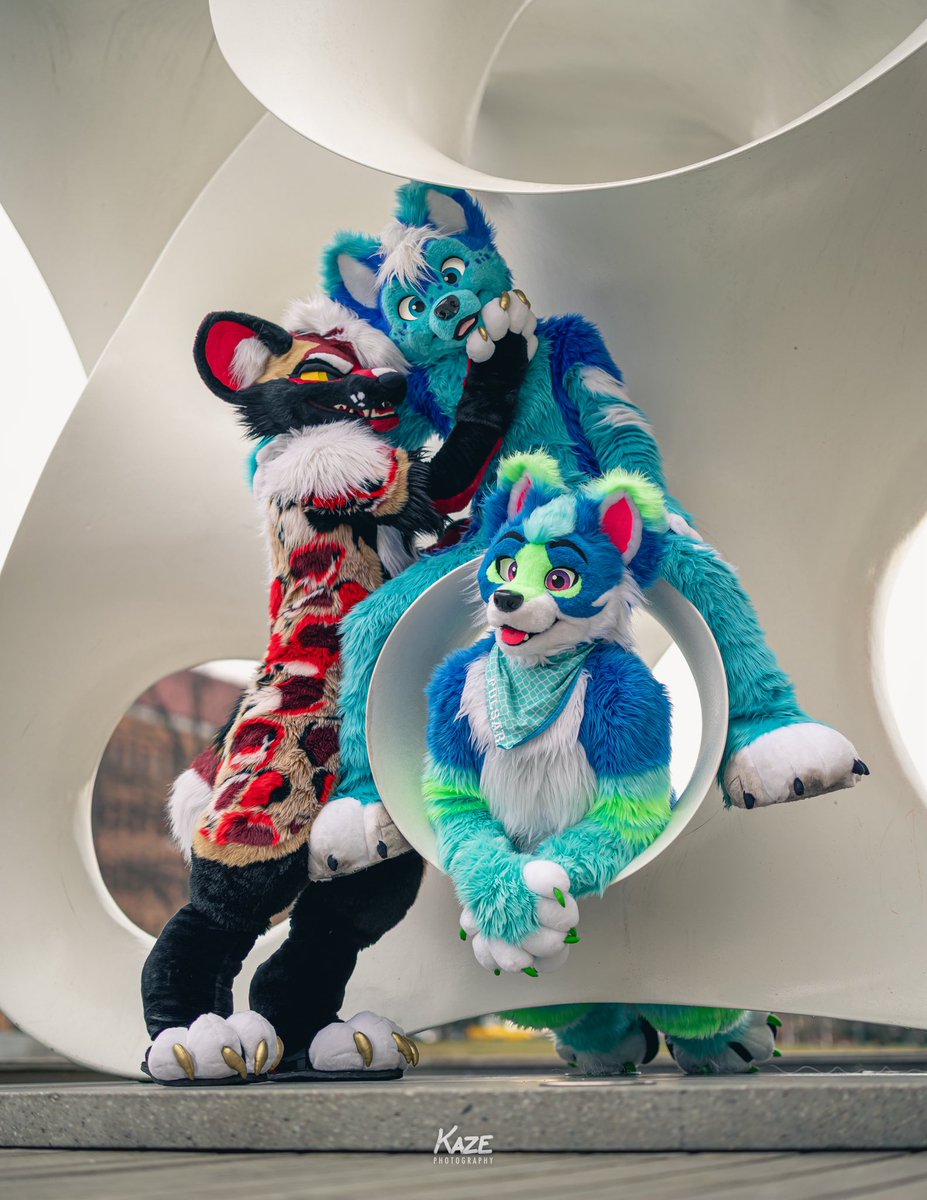 AnejoYote's tweet image. Dogs will be dogs, literally goofing about!
📸: @KazeShiba