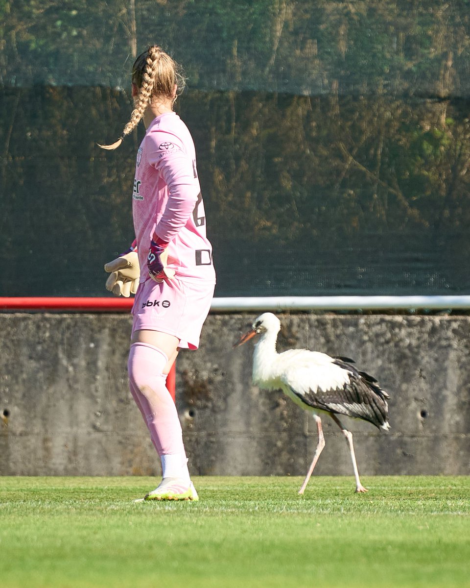 AthleticClubFem's tweet image. π Larunbateko lagunartekoak honako irudi bitxi hau utzi zuen.
ποΈ Ziara Vega tuvo que lidiar con las delanteras del @scbragafeminino y con alguna que otra cigueΓ±a.
#AthleticClubFem π¦
