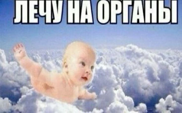 bzzzz3333's tweet image. Бля, старая, съеби нахуй со своими каплями от кошачьего насморка, там на тнт новый сезон букиных показывают + чулки на вб пришли + флешик надо купить, крч забот полон рот