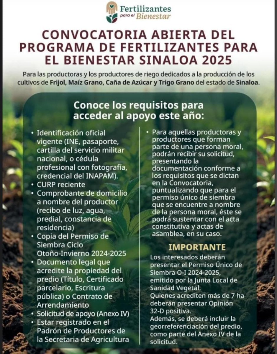 imeldacastromx's tweet image. 🌾 ¡Atención, productoras y productores de #Sinaloa!
Ya está abierta la convocatoria de Fertilizantes para el Bienestar 2025.
Si cultivas maíz, frijol, trigo o caña de azúcar en terrenos de riego de hasta 10 hectáreas, puedes acceder a fertilizante gratuito para tus cultivos.
📅…