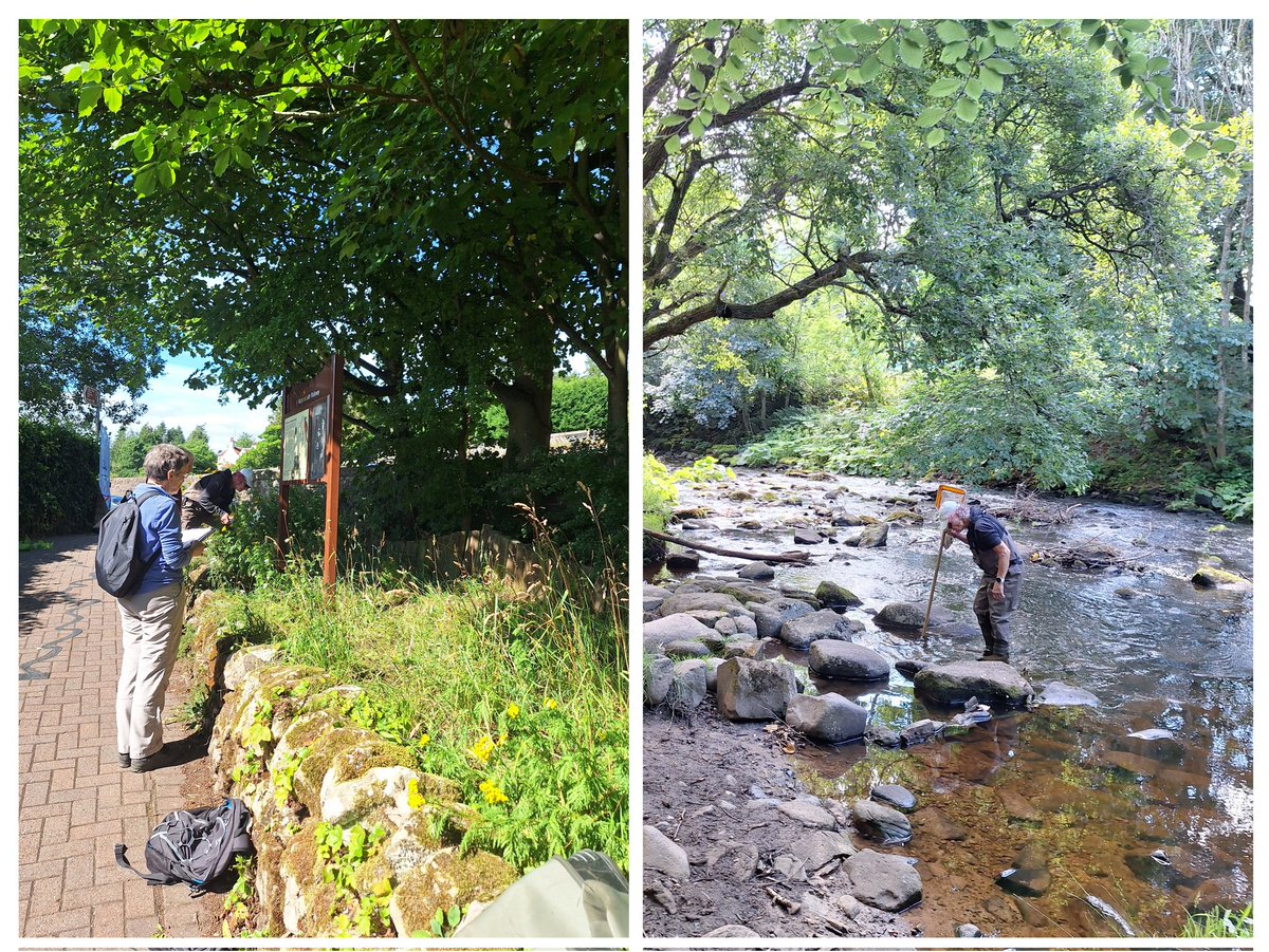 WOLCT's tweet image. It is an enjoyable start to the week with volunteers up at Balerno.

Wading &amp;amp; litterpicking locally for rubbish 
Wildflower and riverfly surveys
Walkway maintenance 

All completed in the sunshine 

@Edinburgh_CC