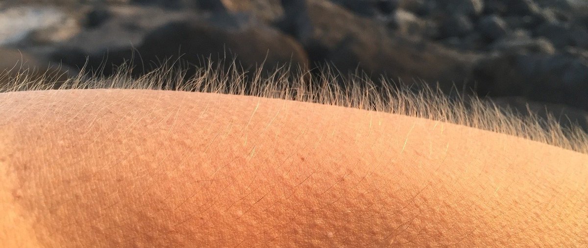 "El fallo que se emite hoy no es una victoria de nadie ni una derrota de otro. Es la respuesta del Estado a través de su justicia".