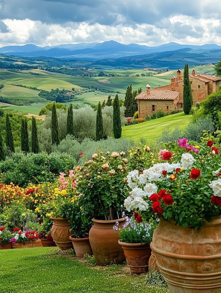 DrRani778897's tweet image. 