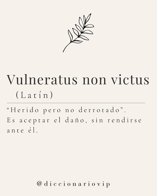 Diccionario VIP (@diccionariovip) on Twitter photo 