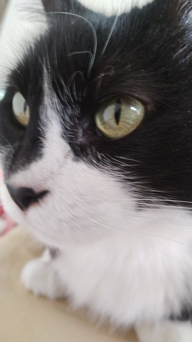 24k_tute's tweet image. q cara de boluda ermana