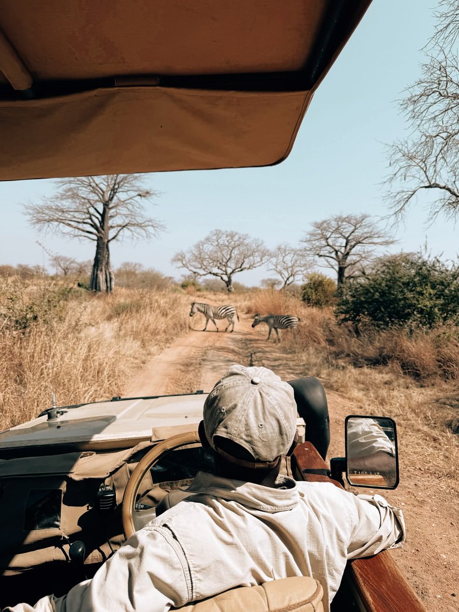 Mornings with zebra 🦓 

📸 Thank you Ikuka guest Elien Billen

#bucketlist #ikukasafaricamp #ruahanationalpark #wanderlust #gamedrive #guide #travelinspiration