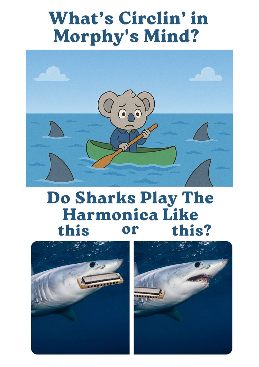 Yannlace's tweet image. 🦈 What’s Circlin’ in Morphy's Mind? @morph_intern @morphnetwork #morphy