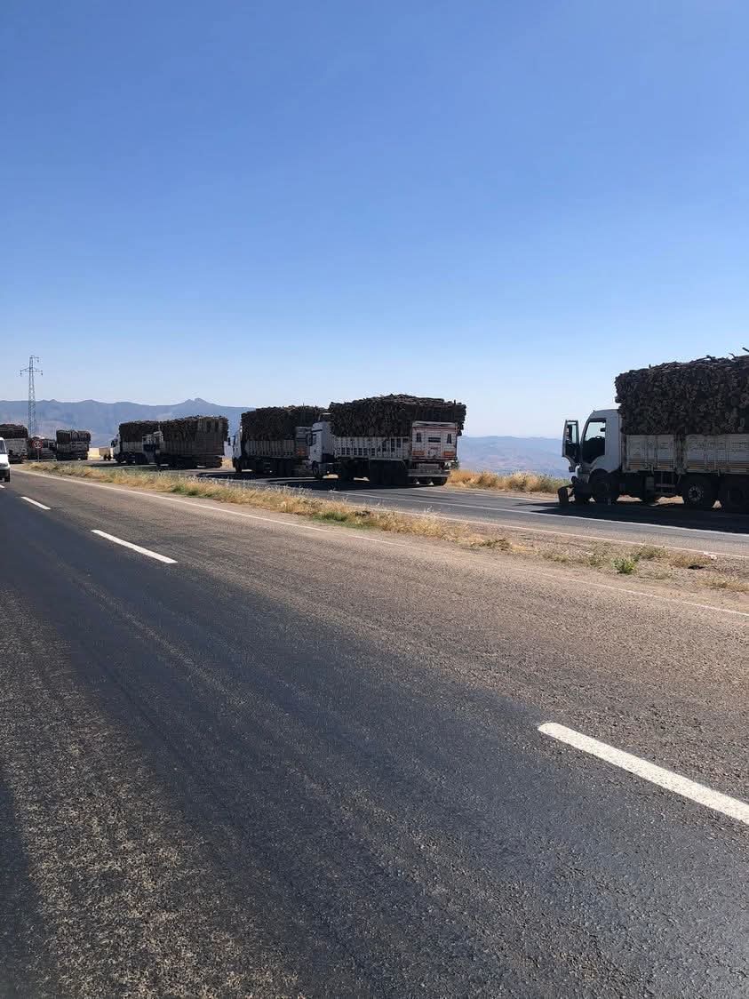 Selamianik's tweet image. Batıda bir ağaç kesilse tüm Türkiye'ye tepki verir ama söz konusu doğu olunca sağır oluyorlar  bir oksijenimiz vardı onuda bize çok gördüler. Şırnak ağaç katilamina SON VERİN YETER ARTIK

#şırnaktaağaçkatliamıvar