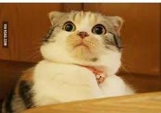 Octavia_50's tweet image. When people still have over 50 contents to post on infinit,
but you don't even have a single one left.
😂😂😂
Where are you guys still getting contents from???
How Infinit Labs is Transforming AI Agents into On-Chain Strategy Architects
Infinit Labs is evolving AI agents from…