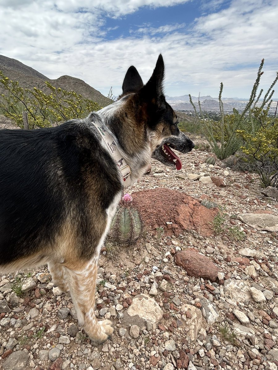 Beautiful morning for a hike ☀️before it gets too hot. Have a great Monday!